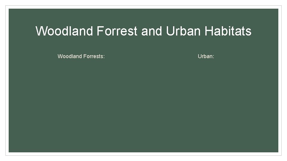 Woodland Forrest and Urban Habitats Woodland Forrests: Urban: 