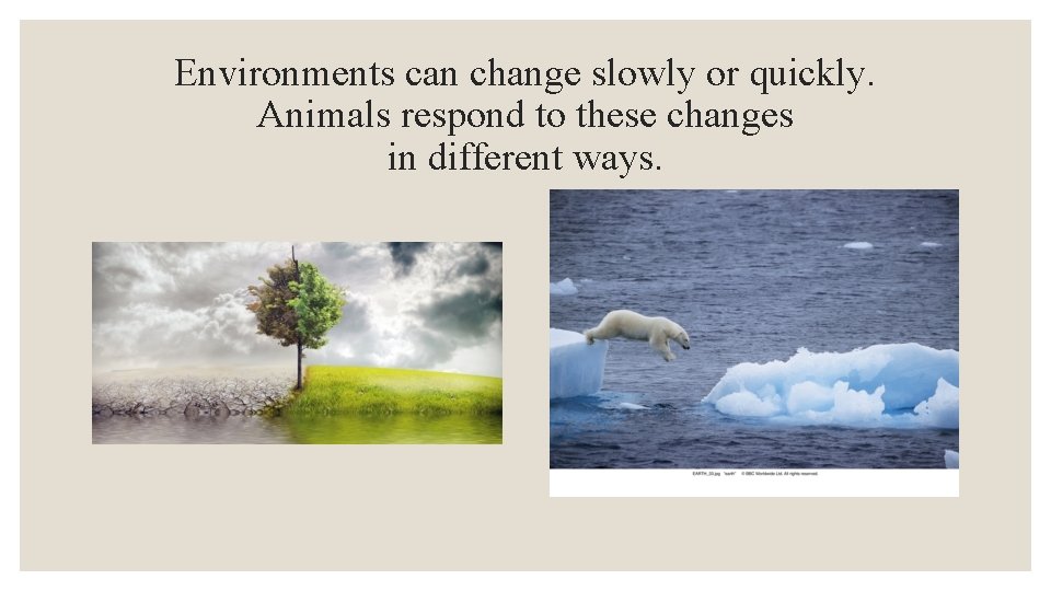Environments can change slowly or quickly. Animals respond to these changes in different ways.