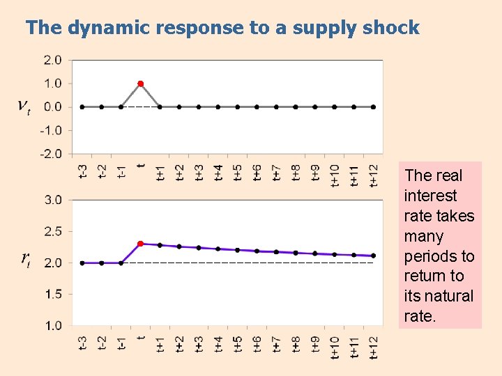 The dynamic response to a supply shock The real interest rate takes many periods