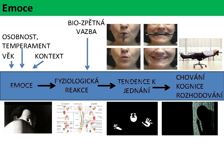 Emoce OSOBNOST, TEMPERAMENT VĚK KONTEXT EMOCE BIO-ZPĚTNÁ VAZBA FYZIOLOGICKÁ REAKCE TENDENCE K JEDNÁNÍ CHOVÁNÍ