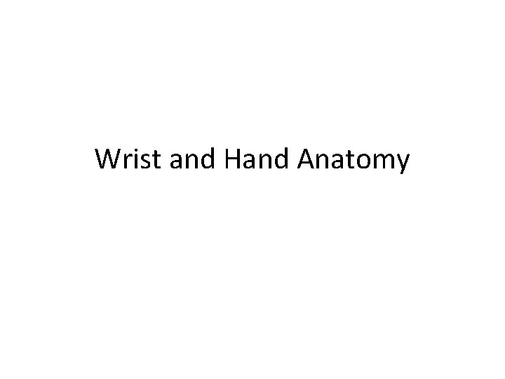 Wrist and Hand Anatomy 