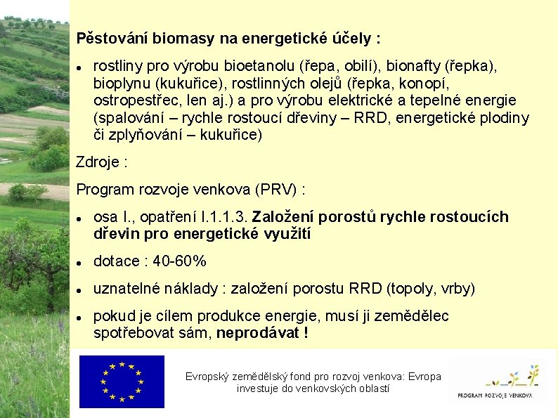 Pěstování biomasy na energetické účely : rostliny pro výrobu bioetanolu (řepa, obilí), bionafty (řepka),