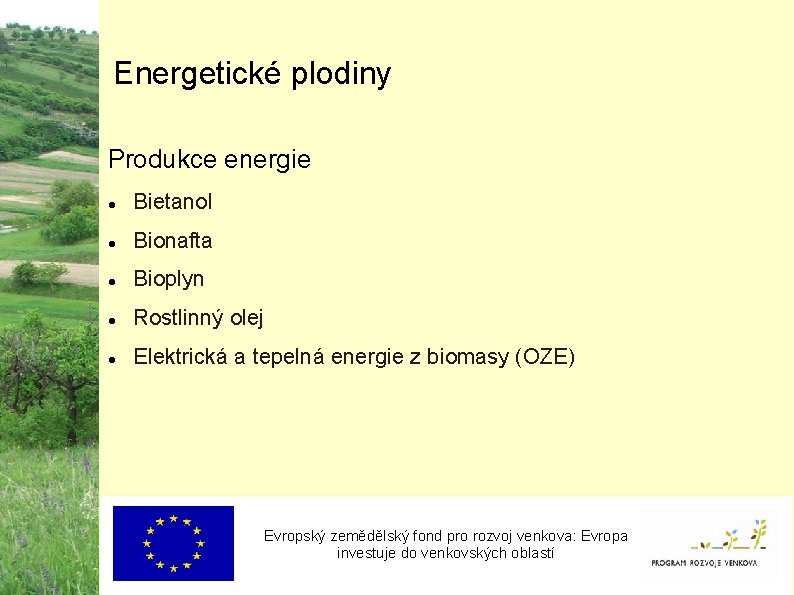 Energetické plodiny Produkce energie Bietanol Bionafta Bioplyn Rostlinný olej Elektrická a tepelná energie z