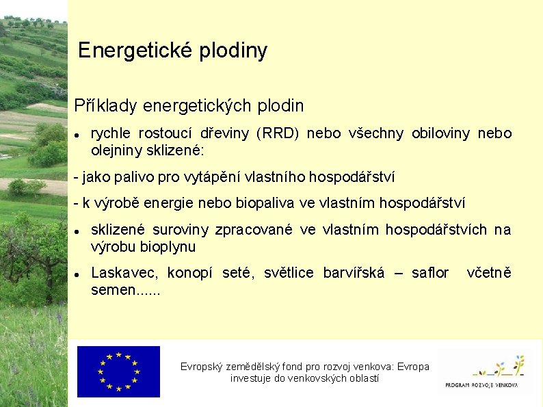 Energetické plodiny Příklady energetických plodin rychle rostoucí dřeviny (RRD) nebo všechny obiloviny nebo olejniny