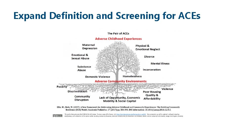 Expand Definition and Screening for ACEs 