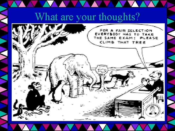 What are your thoughts? 