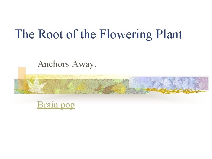 The Root of the Flowering Plant Anchors Away. Brain pop 