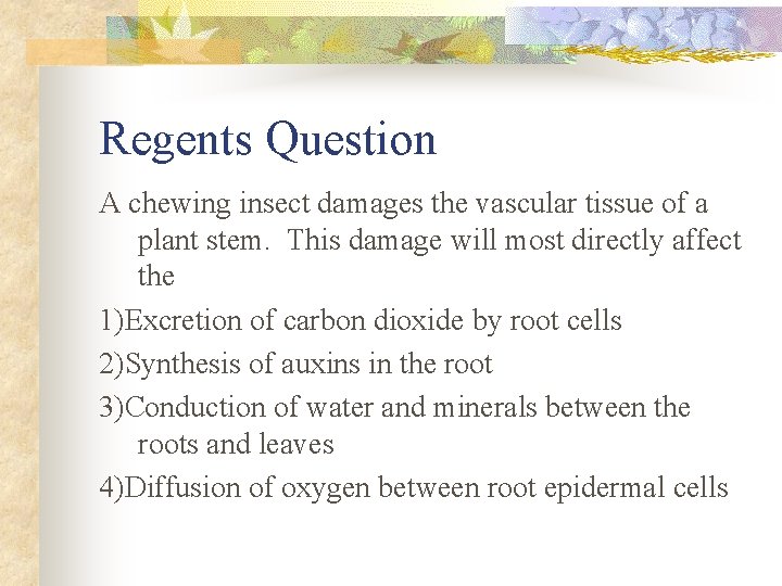 Regents Question A chewing insect damages the vascular tissue of a plant stem. This