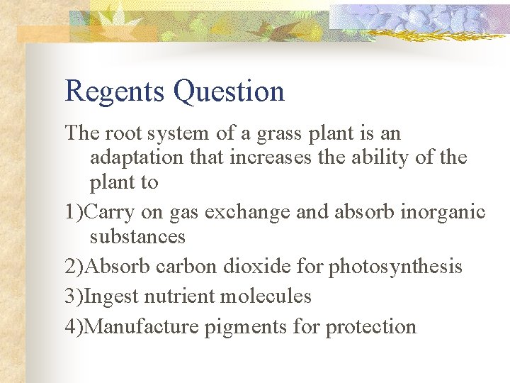 Regents Question The root system of a grass plant is an adaptation that increases