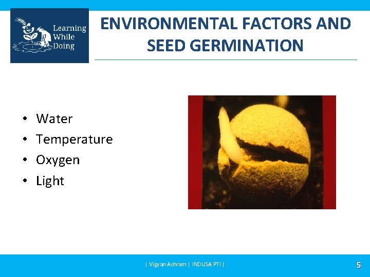 ENVIRONMENTAL FACTORS AND SEED GERMINATION • • Water Temperature Oxygen Light | Vigyan Ashram