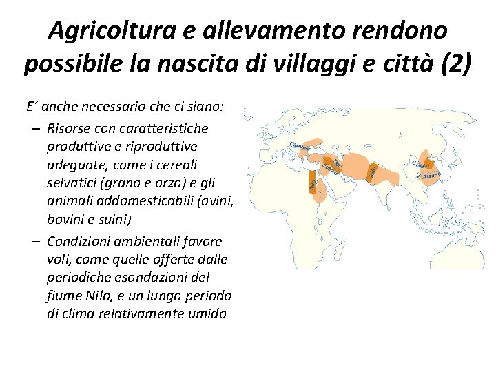 Agricoltura e allevamento rendono possibile la nascita di villaggi e città (2) E’ anche