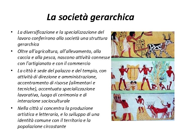 La società gerarchica • La diversificazione e la specializzazione del lavoro conferirono alla società