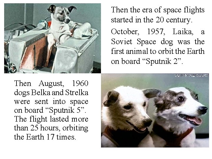Then the era of space flights started in the 20 century. October, 1957, Laika,