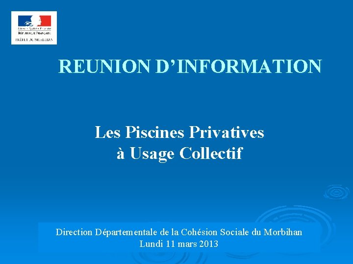 REUNION D’INFORMATION Les Piscines Privatives à Usage Collectif Direction Départementale de la Cohésion Sociale