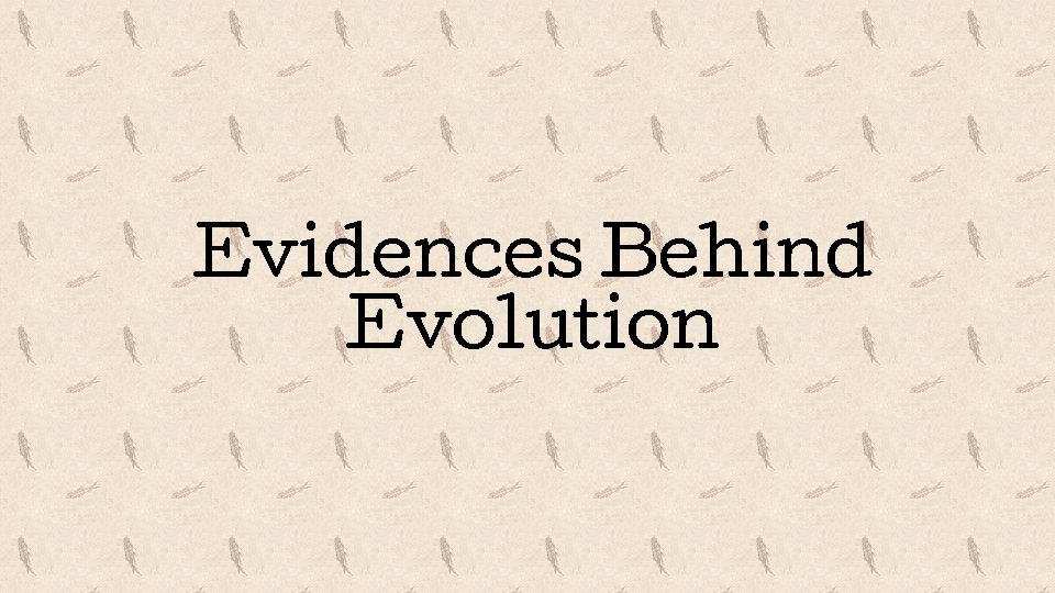 Evidences Behind Evolution 