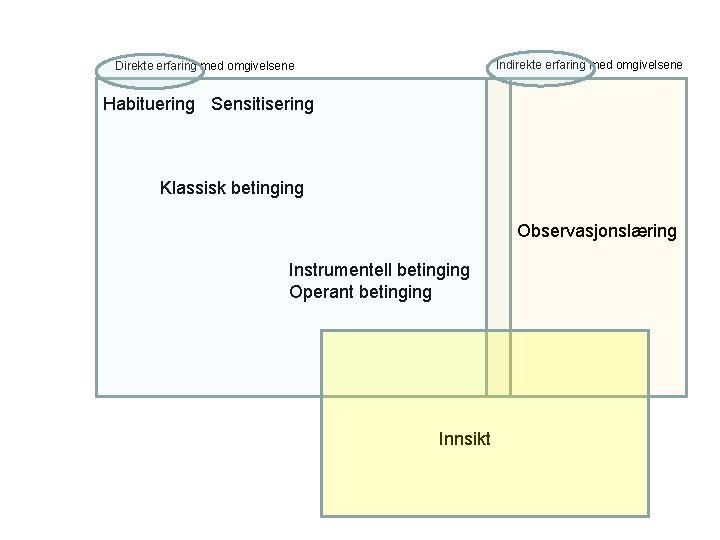 Indirekte erfaring med omgivelsene Direkte erfaring med omgivelsene Habituering Sensitisering Klassisk betinging Observasjonslæring Instrumentell