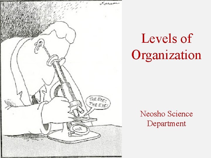 Levels of Organization Neosho Science Department 