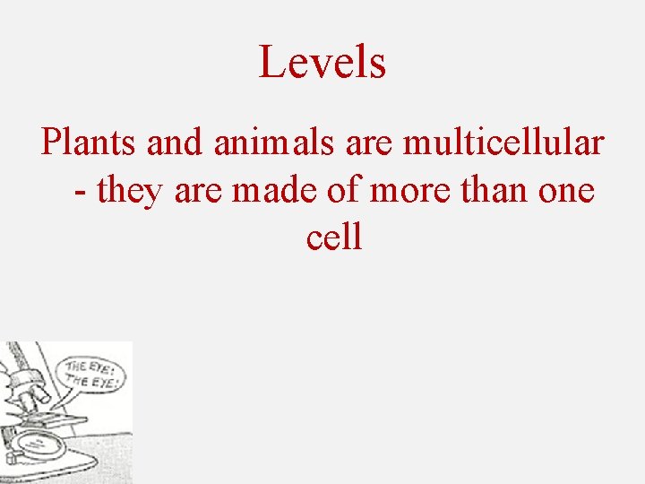 Levels Plants and animals are multicellular - they are made of more than one