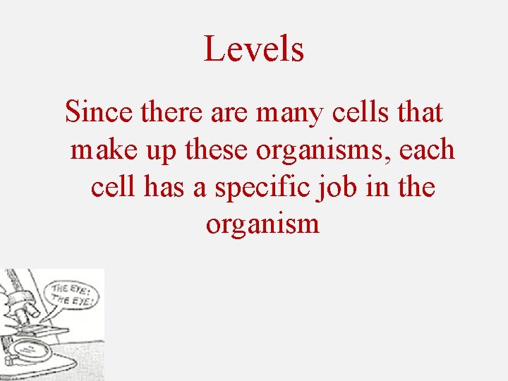 Levels Since there are many cells that make up these organisms, each cell has