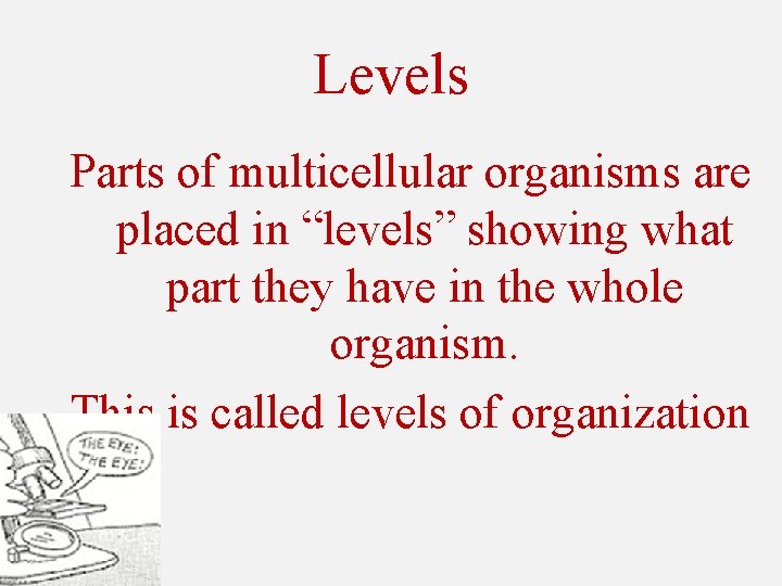 Levels Parts of multicellular organisms are placed in “levels” showing what part they have