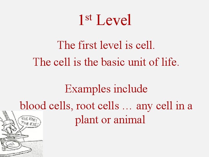 st 1 Level The first level is cell. The cell is the basic unit