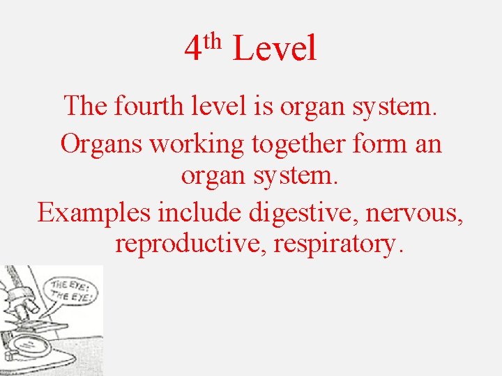 th 4 Level The fourth level is organ system. Organs working together form an