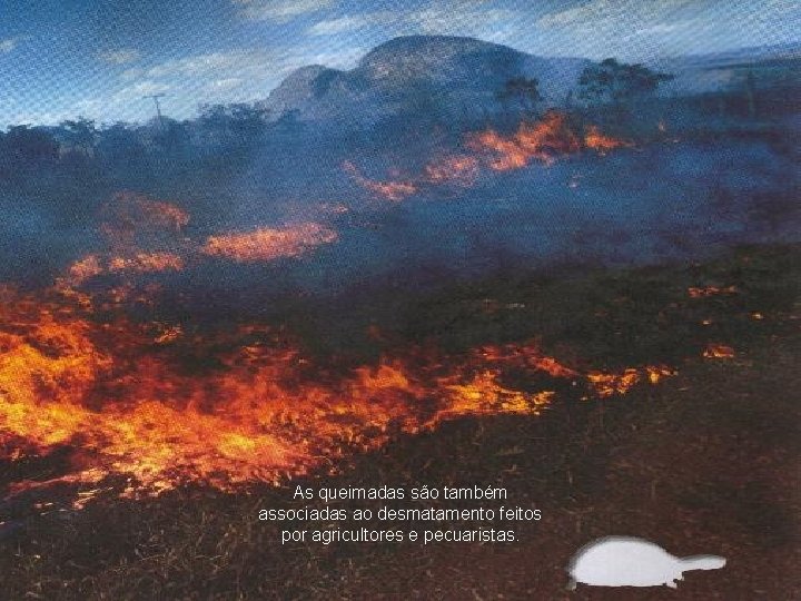 As queimadas são também associadas ao desmatamento feitos por agricultores e pecuaristas. 
