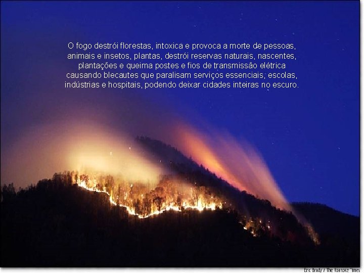 O fogo destrói florestas, intoxica e provoca a morte de pessoas, animais e insetos,