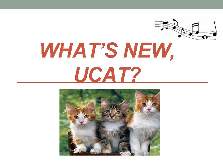 WHAT’S NEW, UCAT? 