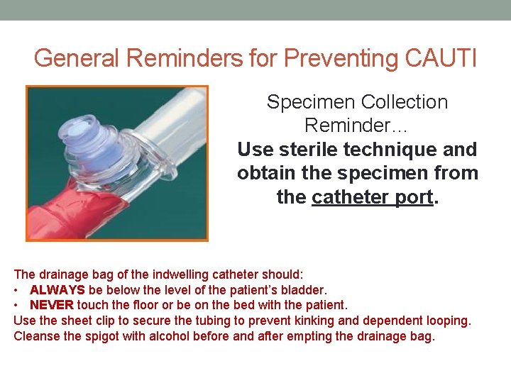 General Reminders for Preventing CAUTI Specimen Collection Reminder… Use sterile technique and obtain the