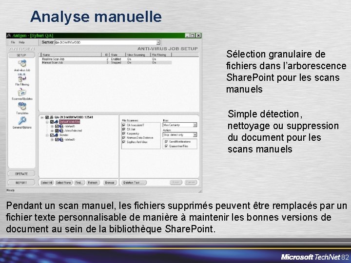 Analyse manuelle Sélection granulaire de fichiers dans l’arborescence Share. Point pour les scans manuels