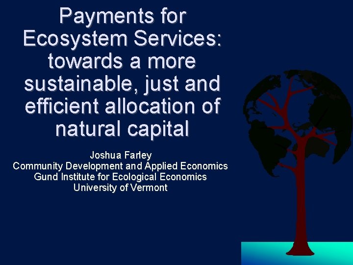 Payments for Ecosystem Services: towards a more sustainable, just and efficient allocation of natural