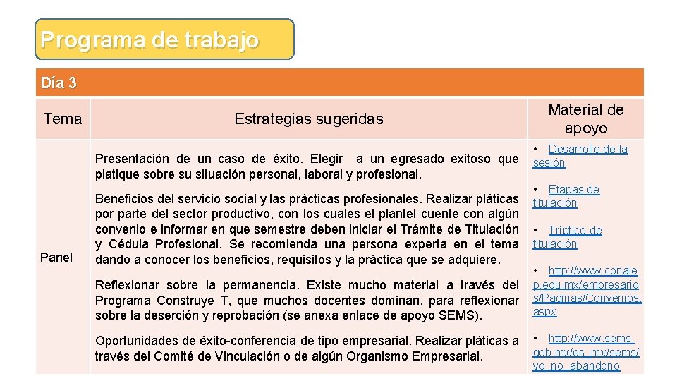 Programa de trabajo Día 3 Tema Estrategias sugeridas Presentación de un caso de éxito.