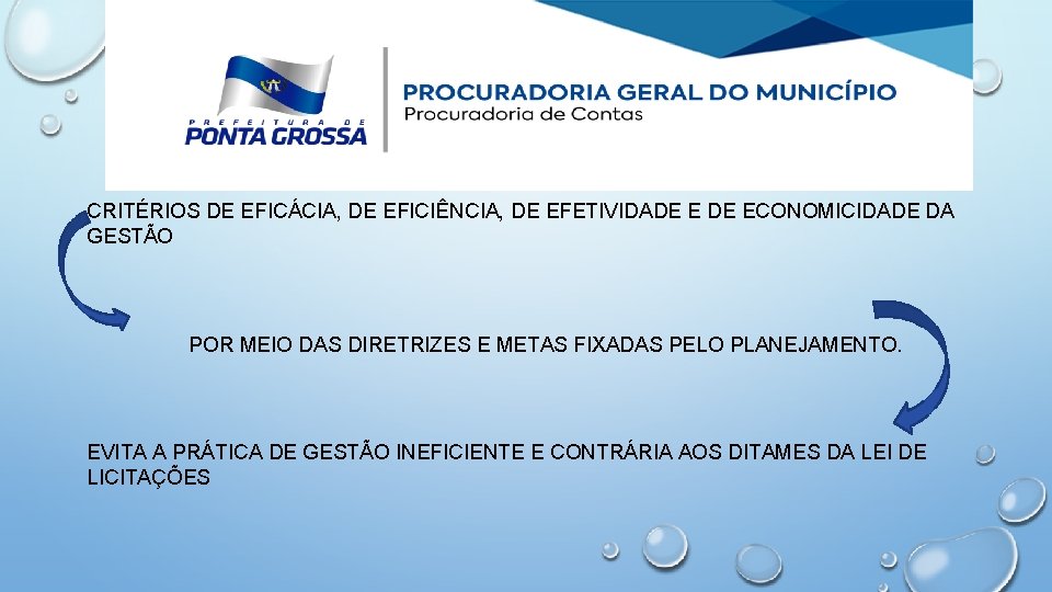 CRITÉRIOS DE EFICÁCIA, DE EFICIÊNCIA, DE EFETIVIDADE ECONOMICIDADE DA GESTÃO POR MEIO DAS DIRETRIZES