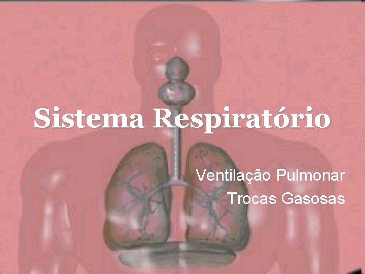 Sistema Respiratório Ventilação Pulmonar Trocas Gasosas 