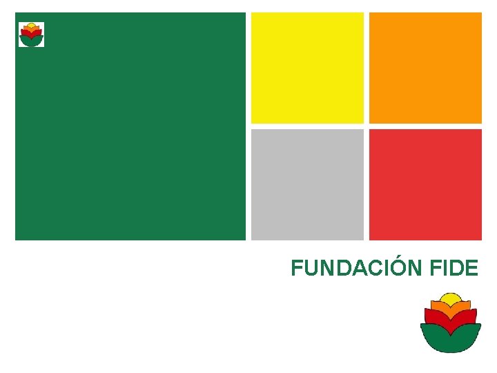 + FUNDACIÓN FIDE 