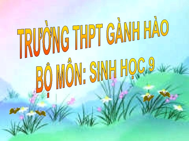 Chng I SINH VT V MI TRNG Bi