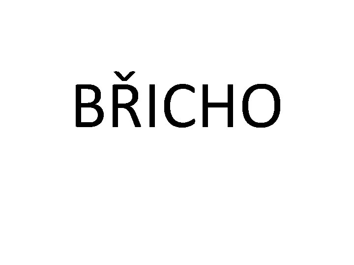 BŘICHO 