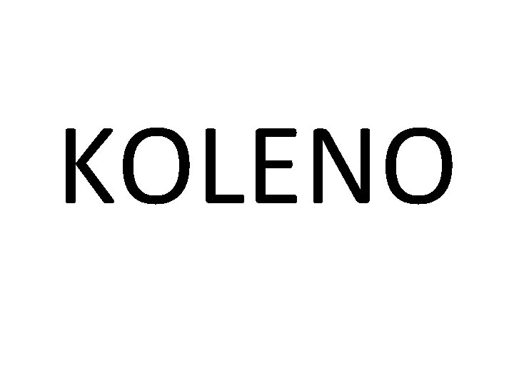 KOLENO 