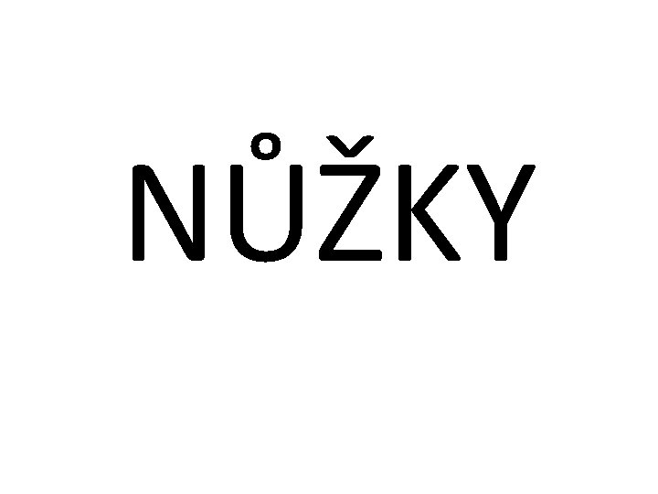 NŮŽKY 