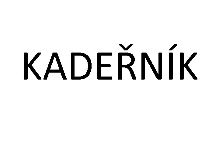 KADEŘNÍK 