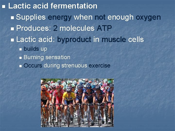 n Lactic acid fermentation n Supplies energy when not enough oxygen n Produces: 2