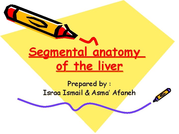 Segmental anatomy of the liver Prepared by : Israa Ismail & Asma’ Afaneh 