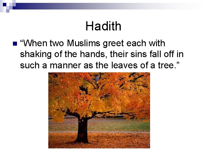 Hadith n “When two Muslims greet each with shaking of the hands, their sins