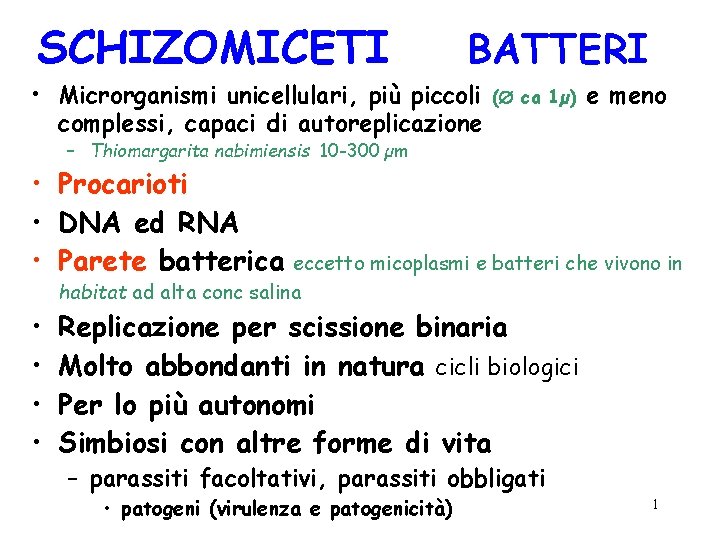 SCHIZOMICETI BATTERI • Microrganismi unicellulari, più piccoli complessi, capaci di autoreplicazione ( ca 1µ)