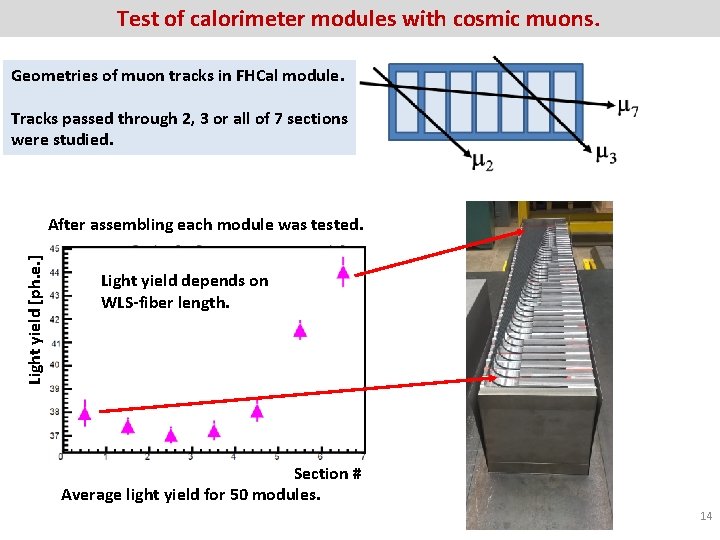 Test of calorimeter modules with cosmic muons. Geometries of muon tracks in FHCal module.