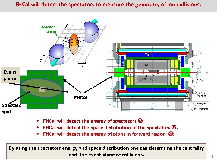 FHCal will detect the spectators to measure the geometry of ion collisions. Event plane