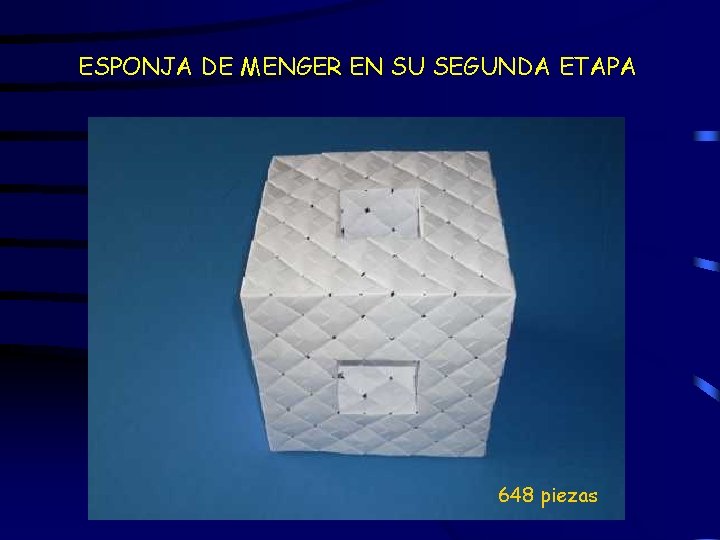 ESPONJA DE MENGER EN SU SEGUNDA ETAPA 648 piezas 