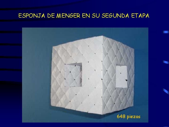 ESPONJA DE MENGER EN SU SEGUNDA ETAPA 648 piezas 