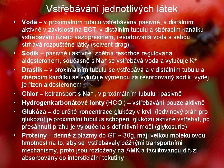 Vstřebávání jednotlivých látek • Voda – v proximálním tubulu vstřebávána pasivně, v distálním aktivně